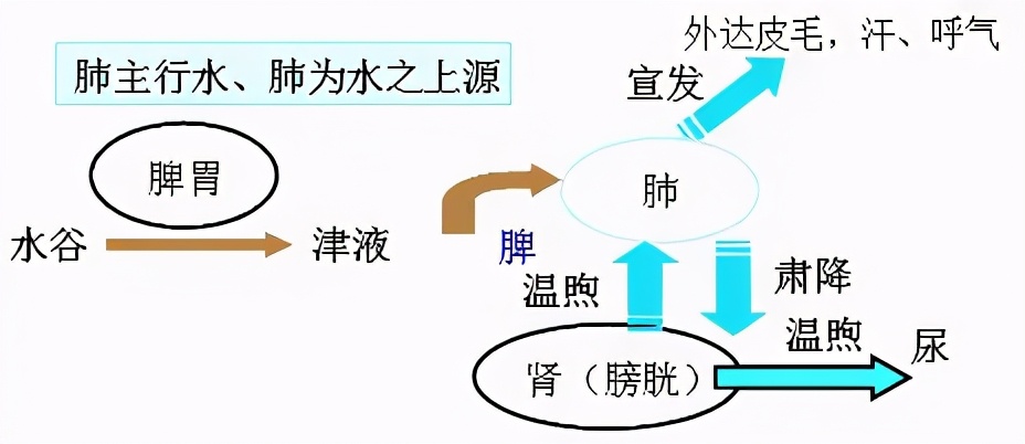 中醫認為