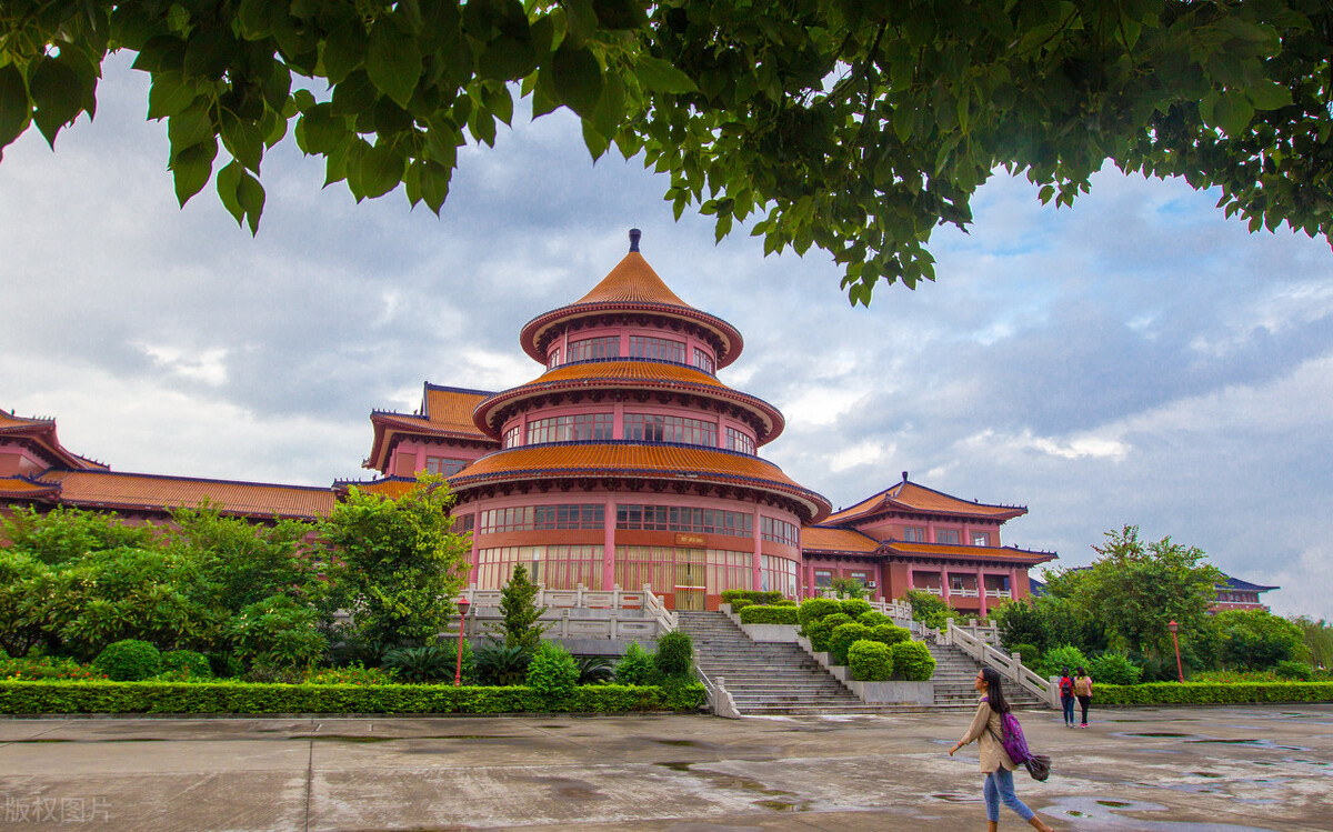 文科生学这四类专业，未来前景好发展空间大，高低分都能选