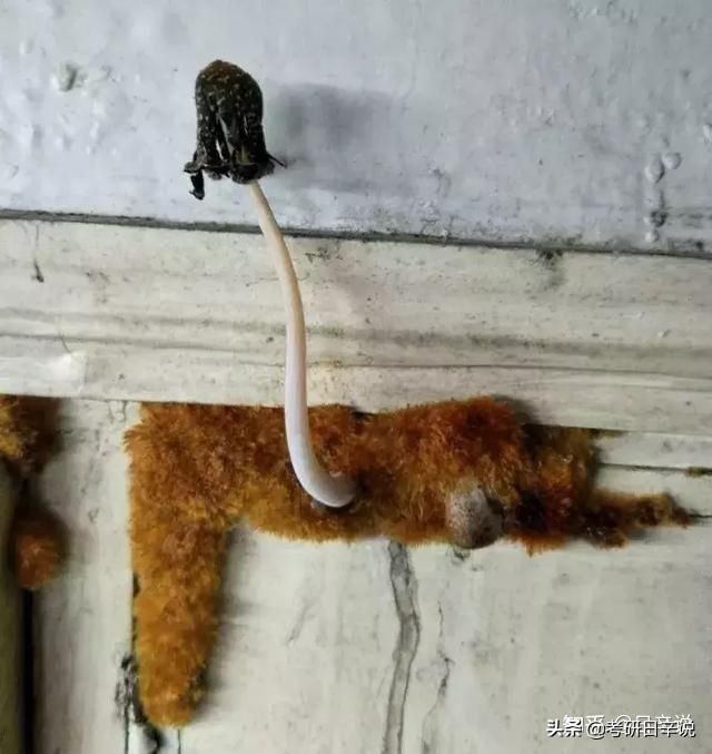 22考研，宿舍条件应当是重要考虑因素吗，有哪些 不推荐的学校？