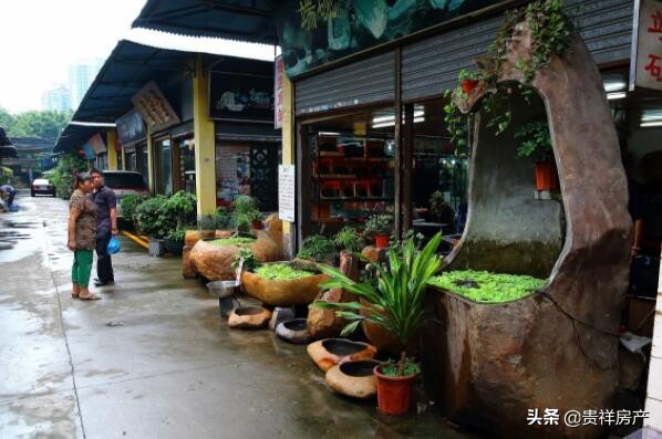 全国十大花鸟鱼虫市场，十里河花鸟市场上榜，第一全国规模最大