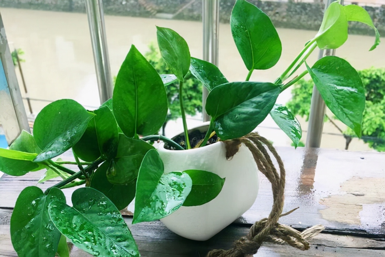 吉林大学让学生搬进“毒圈”宿舍，学生自买测试仪严重超标，心寒