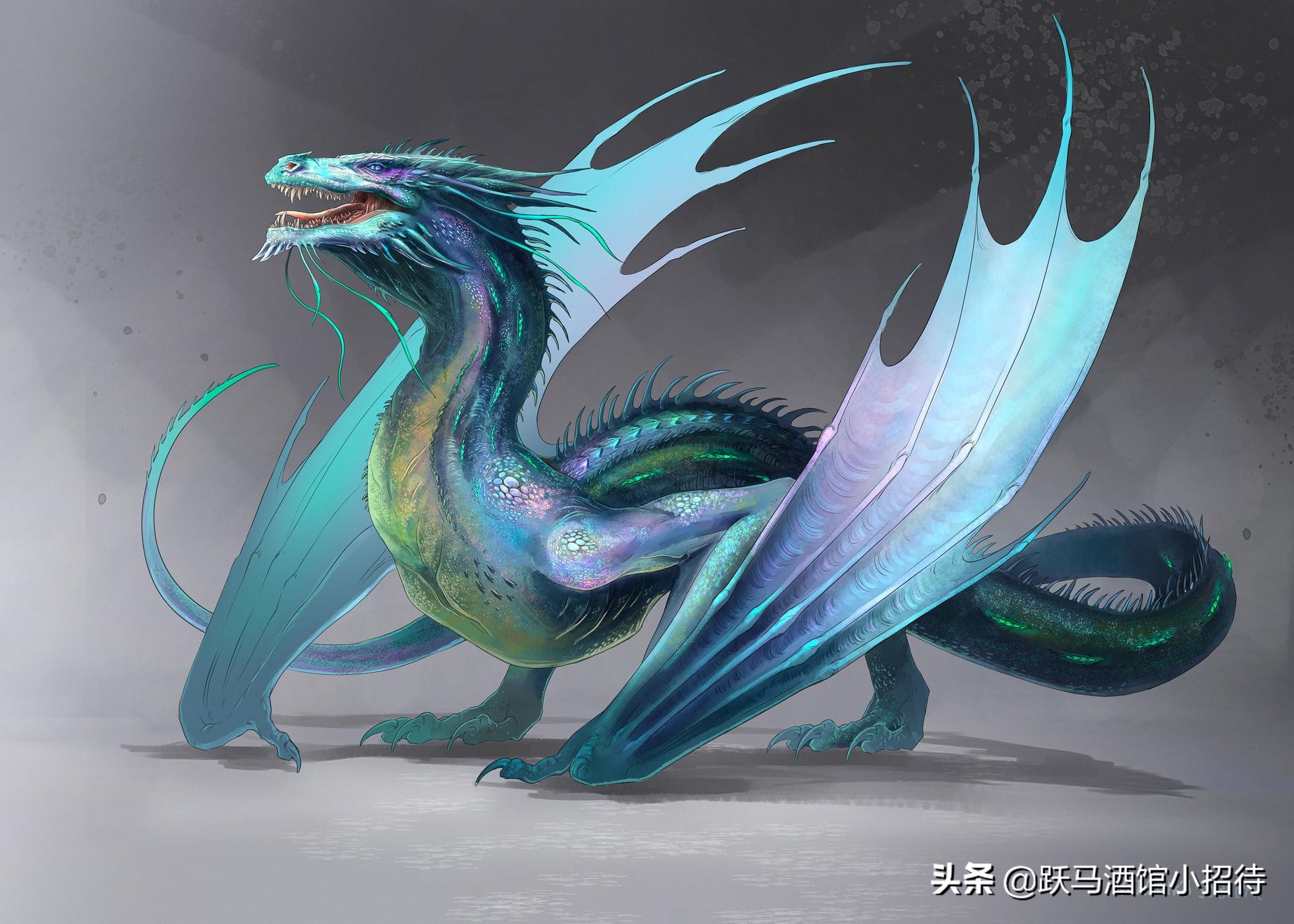 给麻瓜的《神奇动物百科》，魔法世界的动物到底有多神奇（长文）