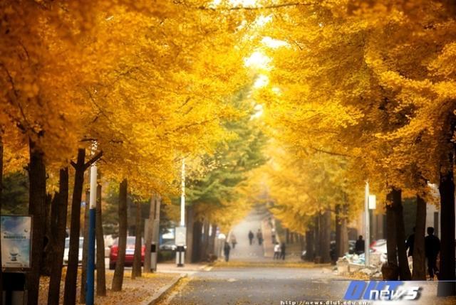 文凭另种“含金量”：民办高校学费到底比公办高校高多少？