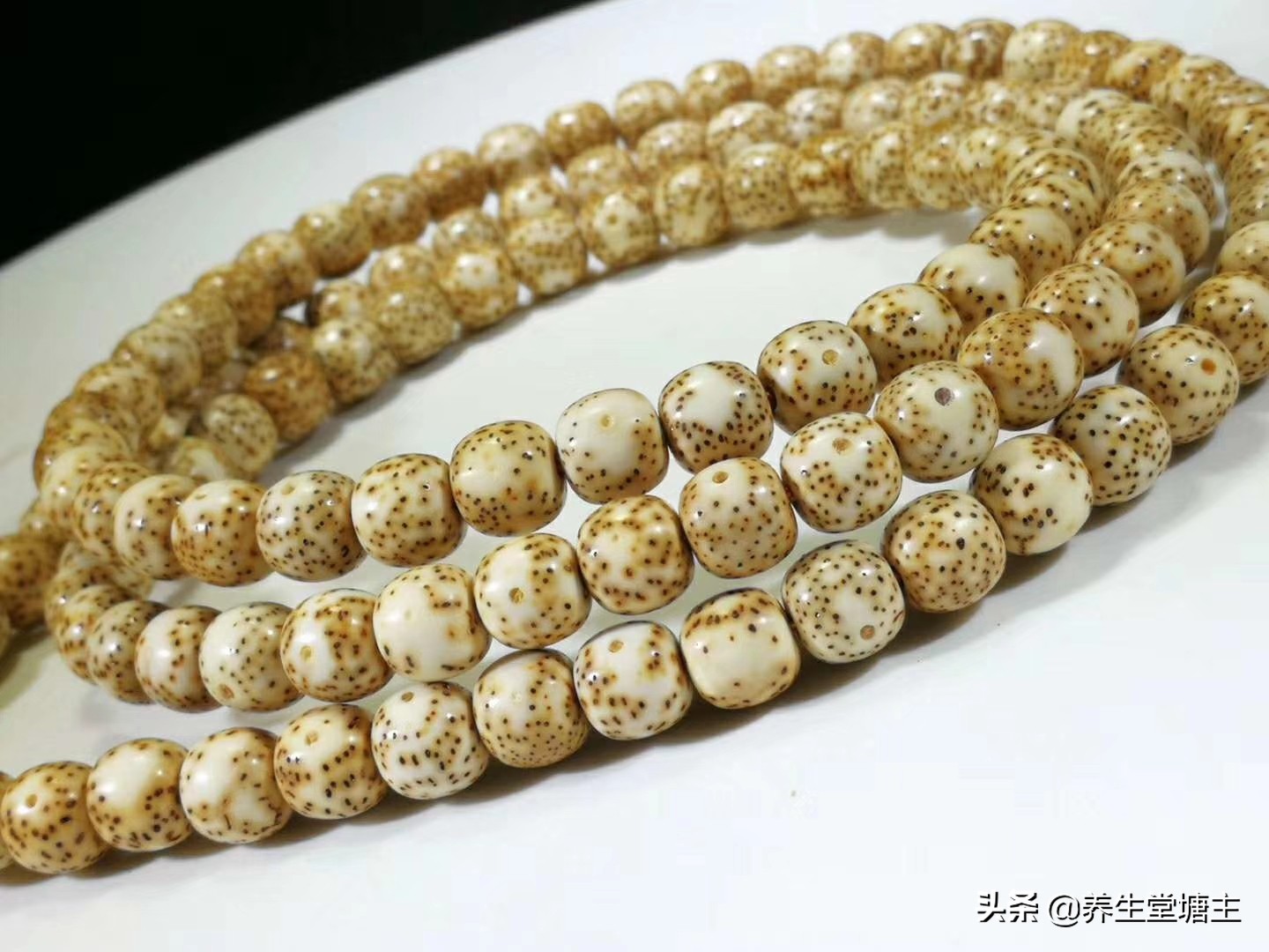 顶级星月菩提什么样子(怎么盘出一条让人"眼馋"的星月菩提 第9张