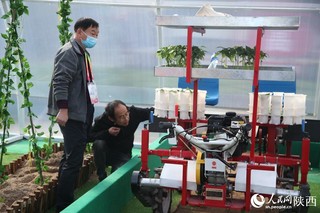 人民网聚焦农高会 | 第28届杨凌农高会开幕 聚焦创新驱动和乡村振兴