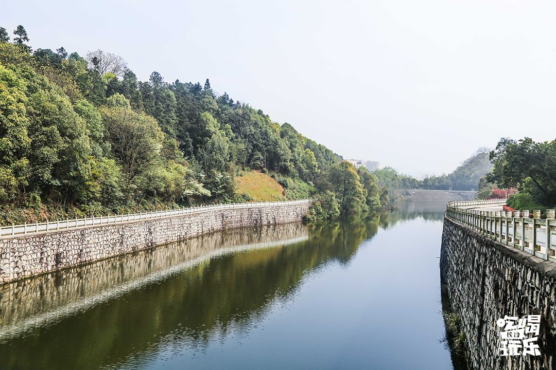 下一站，长沙大学