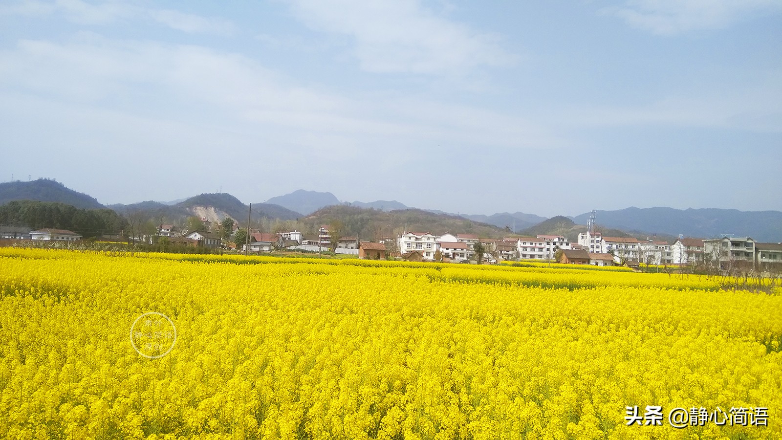 如果你是爱花人，鲜花定会为你开