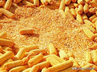 夢見吃芝麻,夢見吃芝麻是什么意思