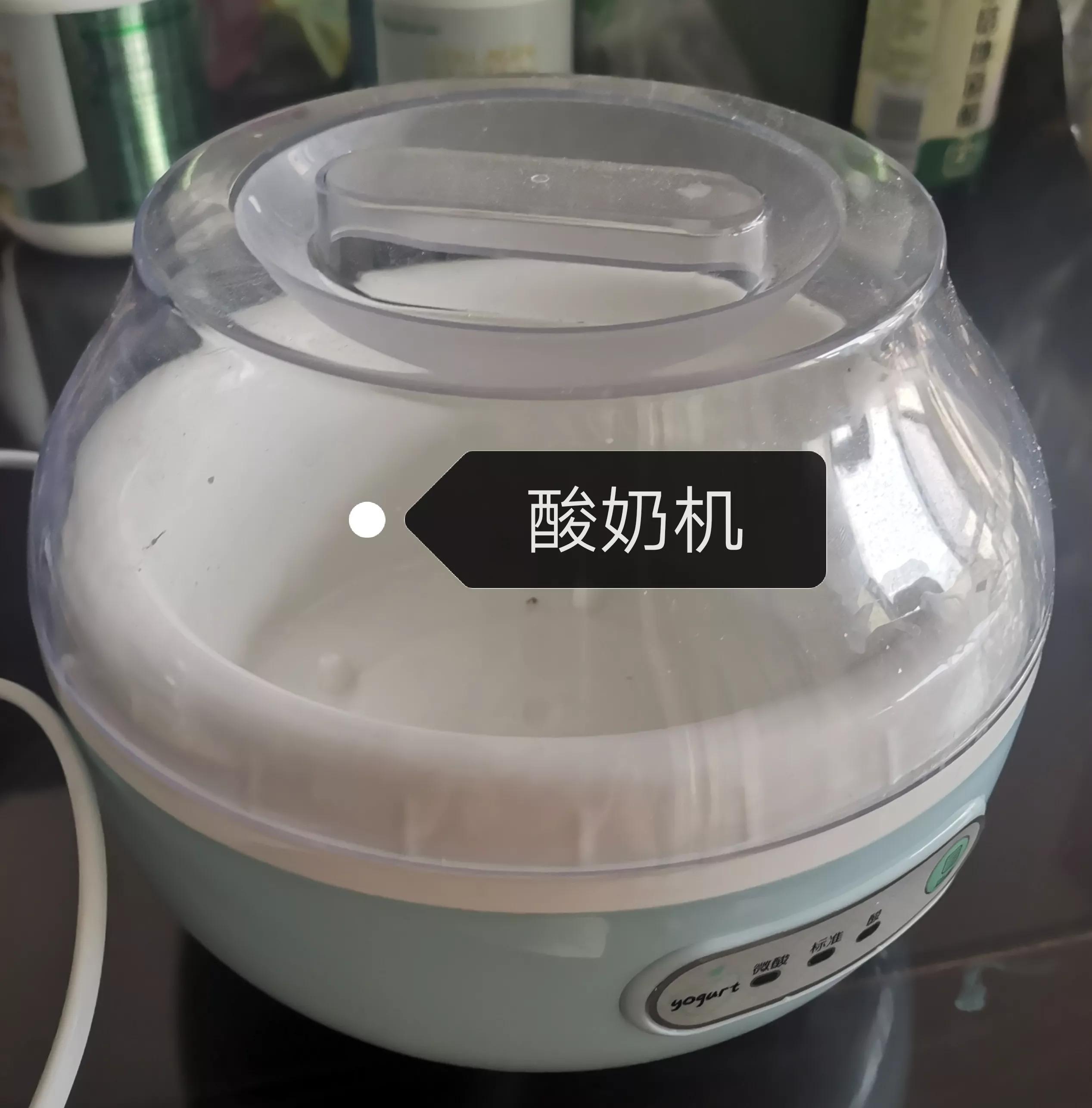酸奶机自制酸奶
