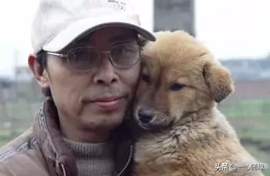狗狗为求主人不杀,寒风中下跪一小时