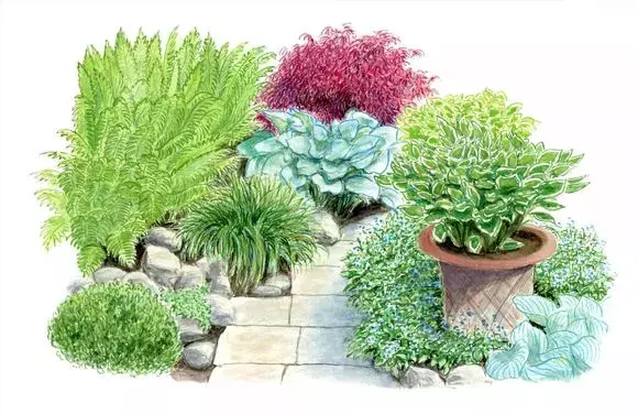 设计师在具体种植以前都会实现做出效果图,以手绘花镜图居多,小编为