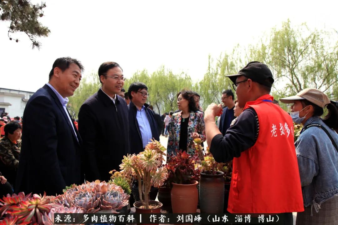 山水作伴，花草相守，这就是我想要的生活（附法师夏季养护）