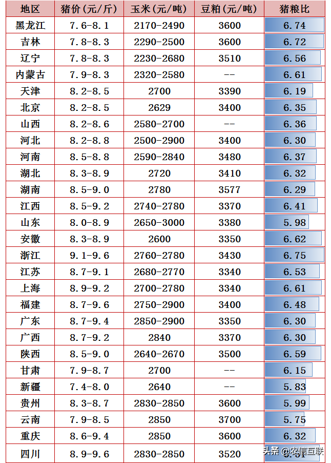 大肥紧俏，肥猪一斤24元！猪肉又要吃不起了？12月份猪价预测