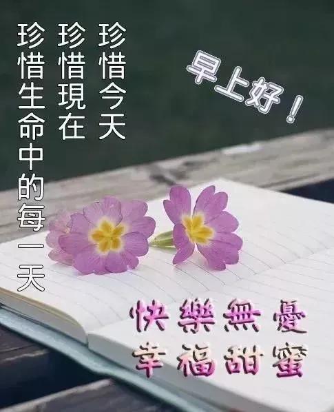 美女表情包：真正的绝望，是内心的迷茫