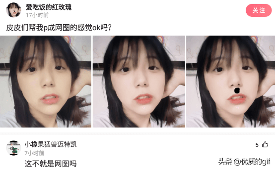 “大哥这驾照，我也是佩服了，警察叔叔都看懵了！”哈哈哈