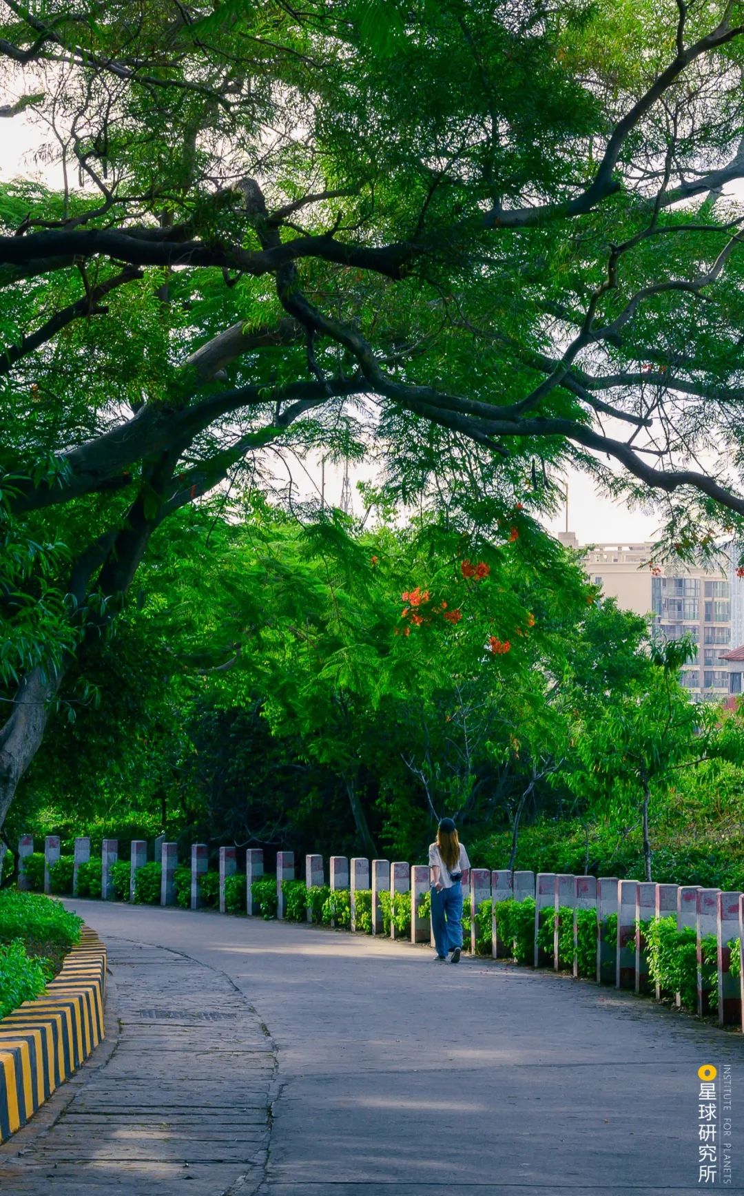 厦门：中国人的海上花园