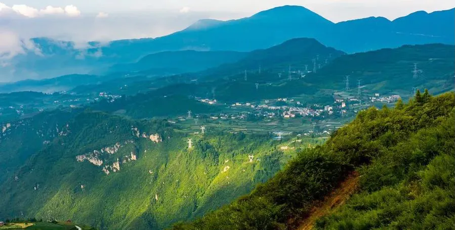 不收门票的世界级风景！赏万亩夏花、观云海日出…成都2天耍来回