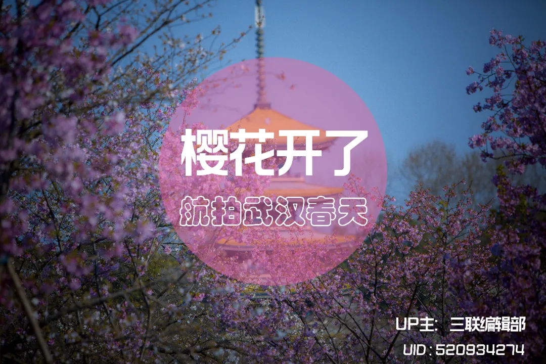 韩国“N号房”事件全面解读：受害者被一步步胁迫，拍摄不断升级的照片或视频