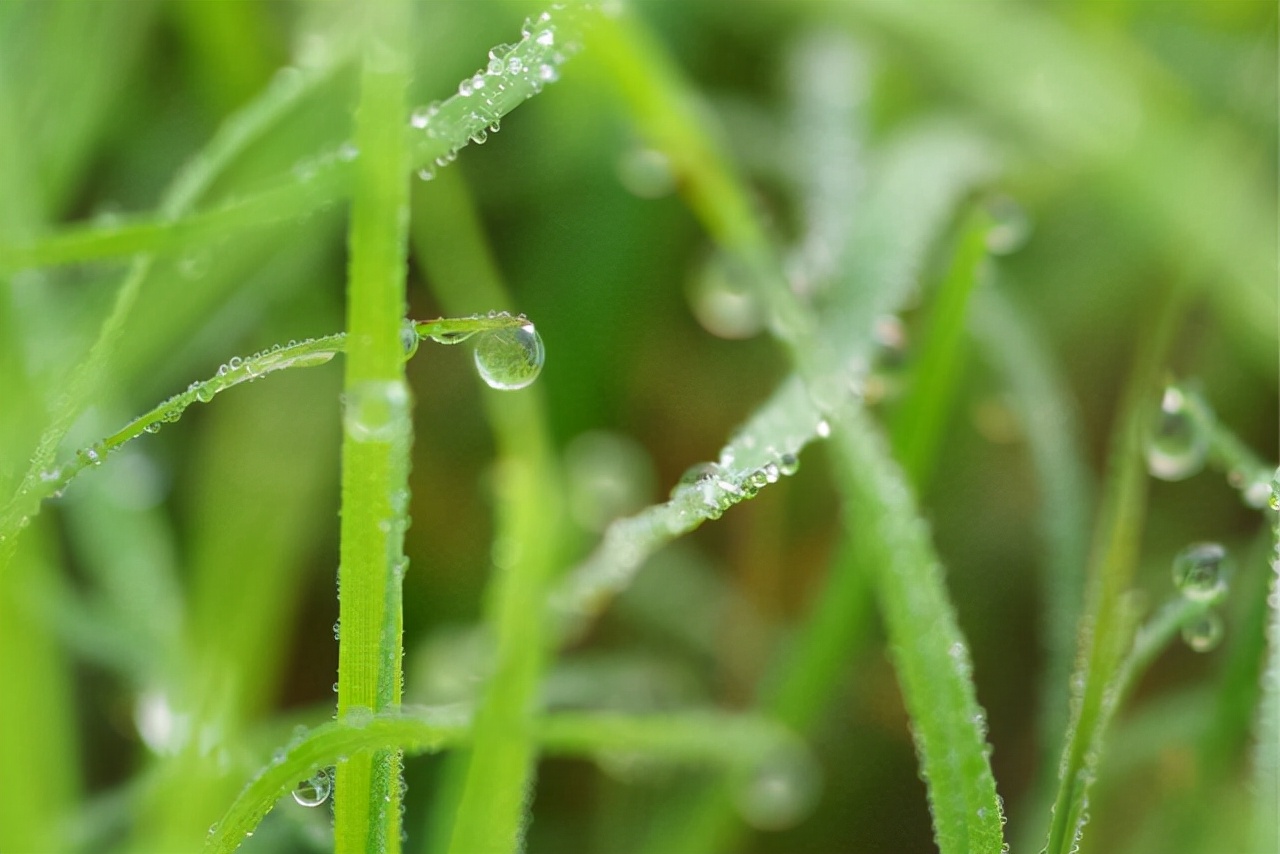 寒露后记得给孩子吃8道菜，钙含量比牛奶还高，人人吃得起