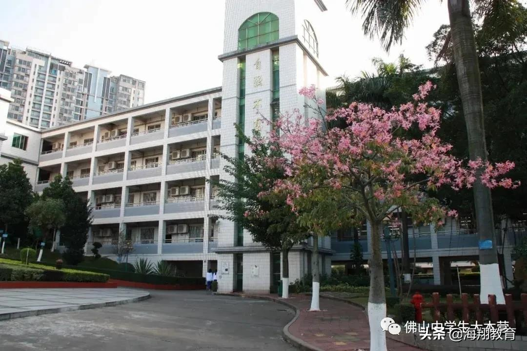 美爆了！佛山8所校园风景大片来袭！哪一间惊艳到你了？