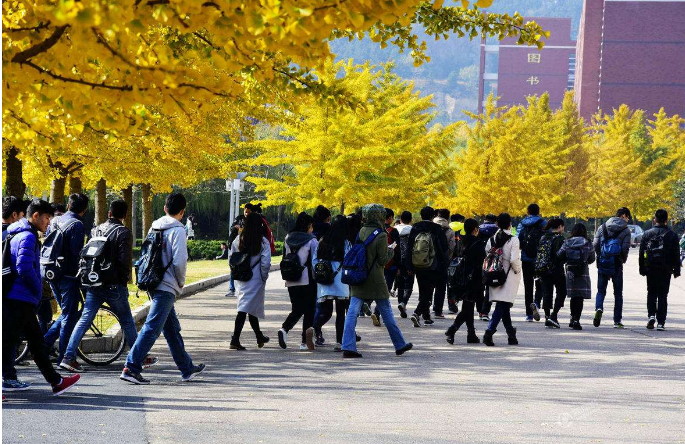 为啥大学期间，很少见到大三、大四的同学？原因无非这几点