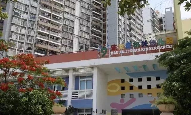 深圳各区口碑爆棚的公办幼儿园！学费便宜，高性价比