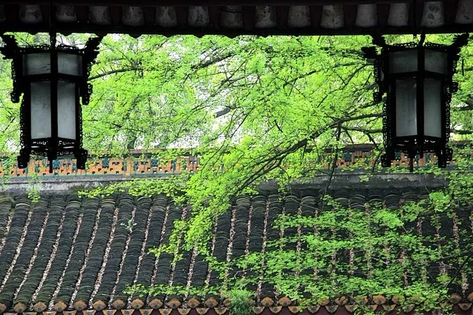 有一种旅行，叫去老街走一走