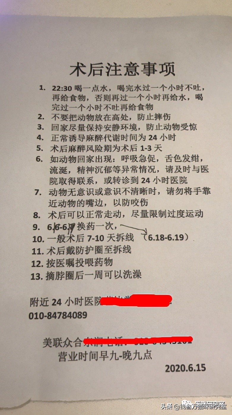 「猫绝育手术」需要注意的问题，和医院常见的坑人套路，非常详细