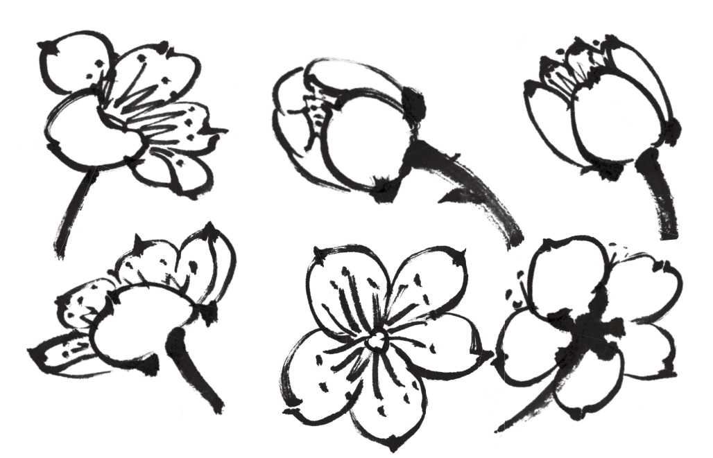 梅花的画法：大师教你勾勒法画梅花，一笔点一瓣，花心处要留白！