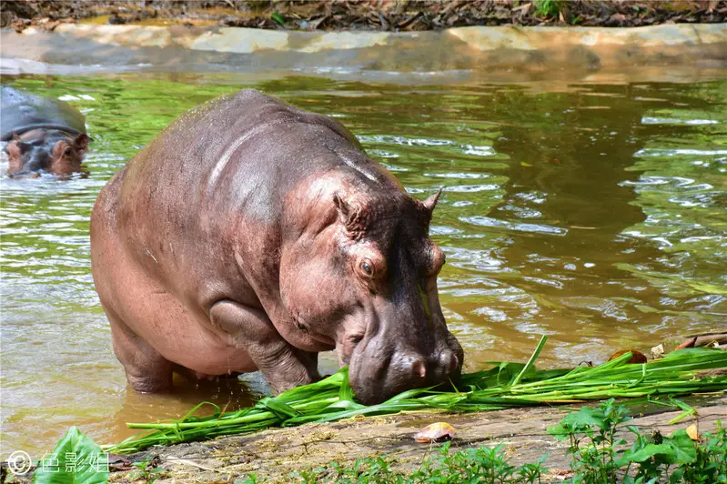 长隆欢乐世界旅游攻略景点必去（三天三夜欢乐长隆之旅）