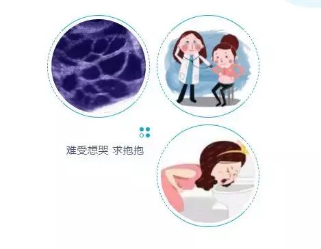 【原创科普】试管婴儿治疗中的“过激”是个啥?