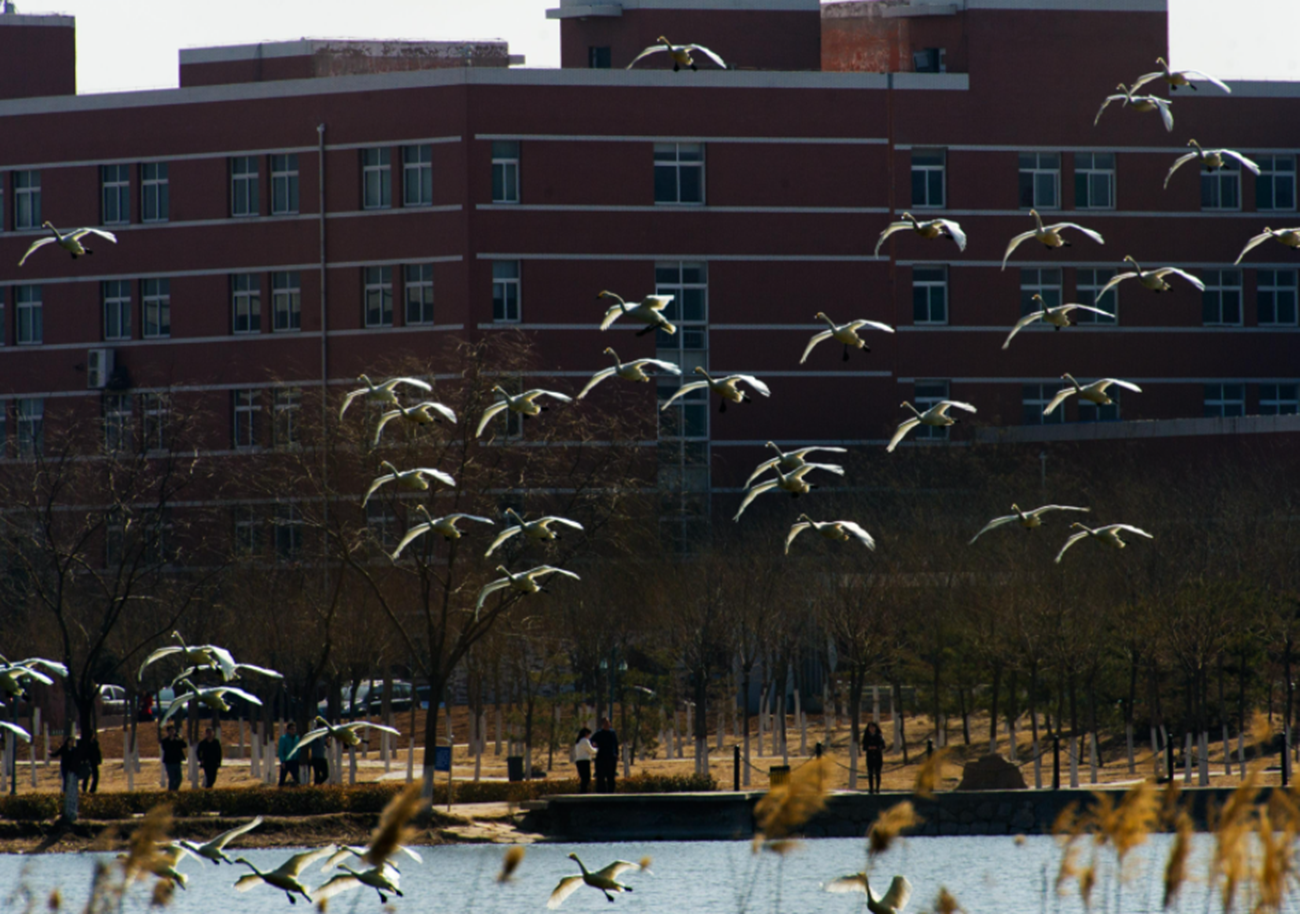 双非大学中的“明星高校”，综合实力不输双一流，有你的母校吗？