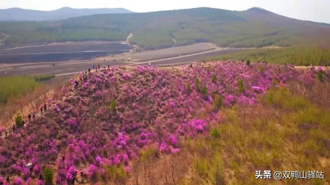 游览双鸭山,风光咱尽收