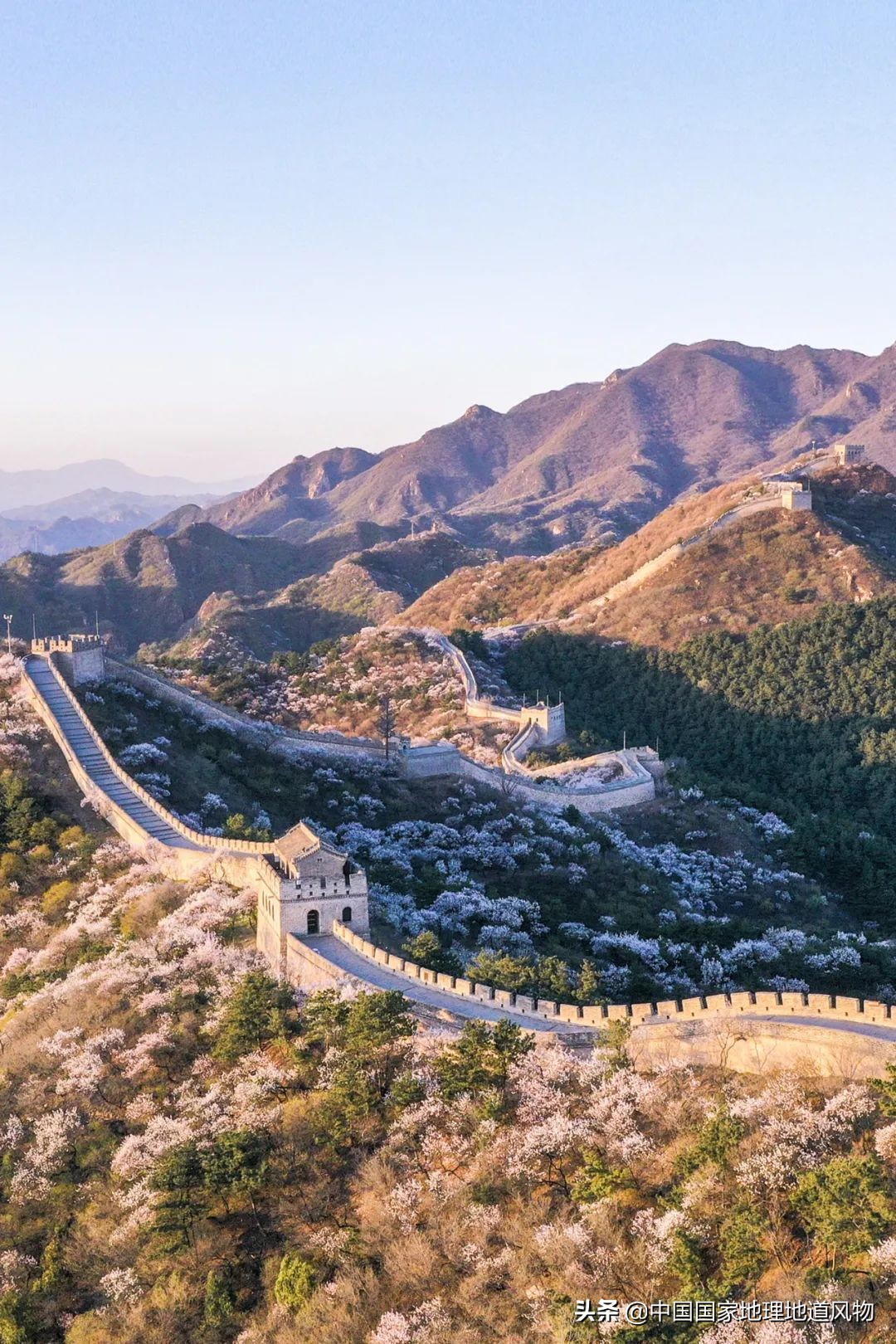 小白杏、大接杏、水蜜杏......中国到底哪里的杏子最好吃？