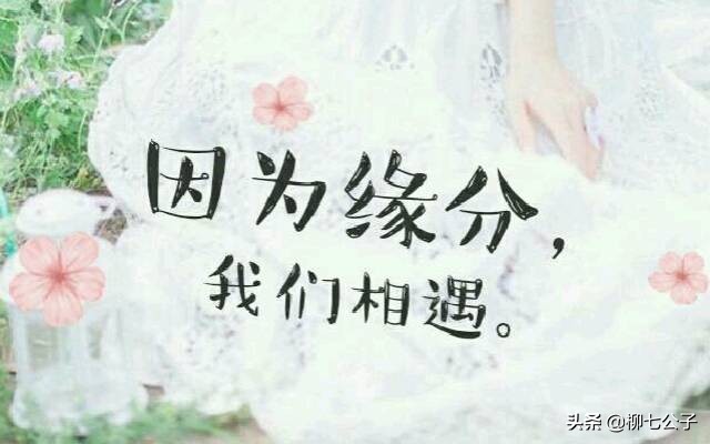 想爱不能爱，想放下却又舍不得，不是每一段缘分，都能看到花盛开