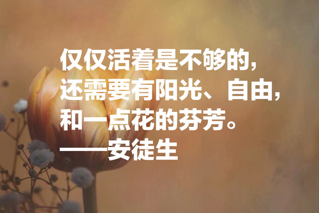 童话大王安徒生十句经典名言，隐藏在童话里的智慧和人生真谛