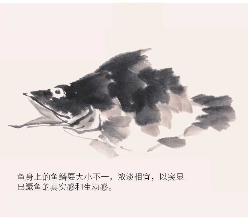 零基础水族的画法：怎么样用双勾发画金鱼鲤鱼？学会几分钟一幅画