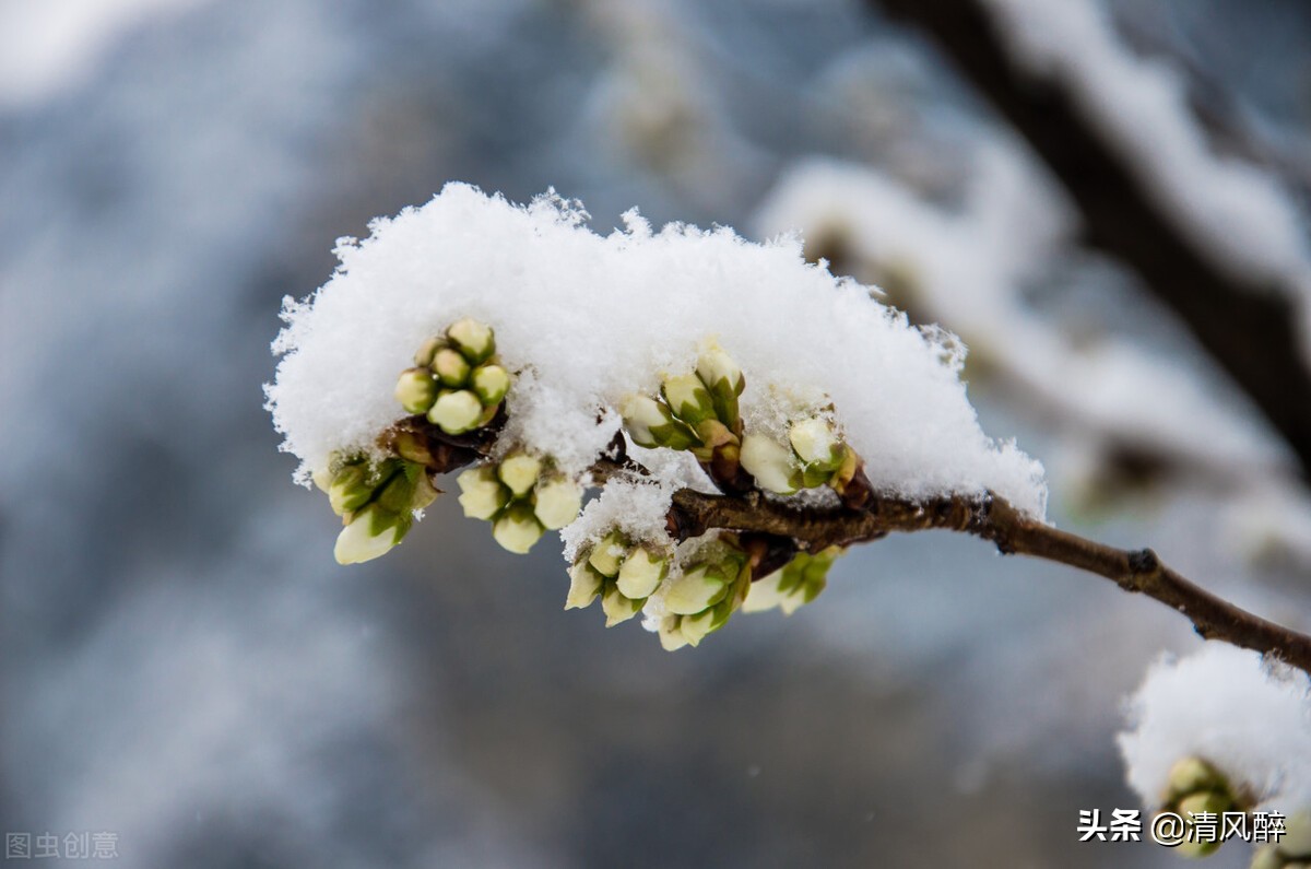 迎小雪精选祝福语说说