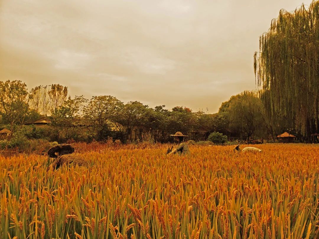怀德学院“心怀正气 尚德倡廉”文化作品展