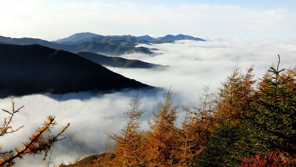 心安即是归处，送你两首描写山居岁月的古诗，感受时光里的爱和暖