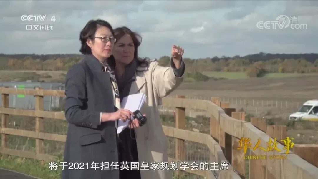 央视报道！毕业陕西，她创下多个第一，当选英国皇家规划学会主席