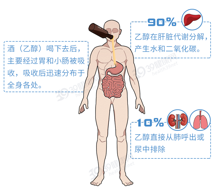 一喝酒就脸红和脸白的人，谁的酒量更大？酒量能练出来吗？