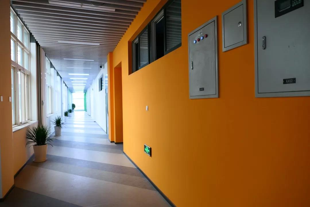 特等奖学金10000元！今天，长安大学2019级新生正式报到！