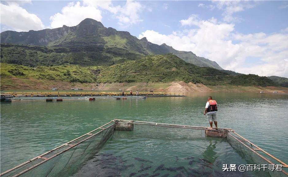牂牁湖水怪：被称为中国最清晰的水怪视频，为何没火起来？