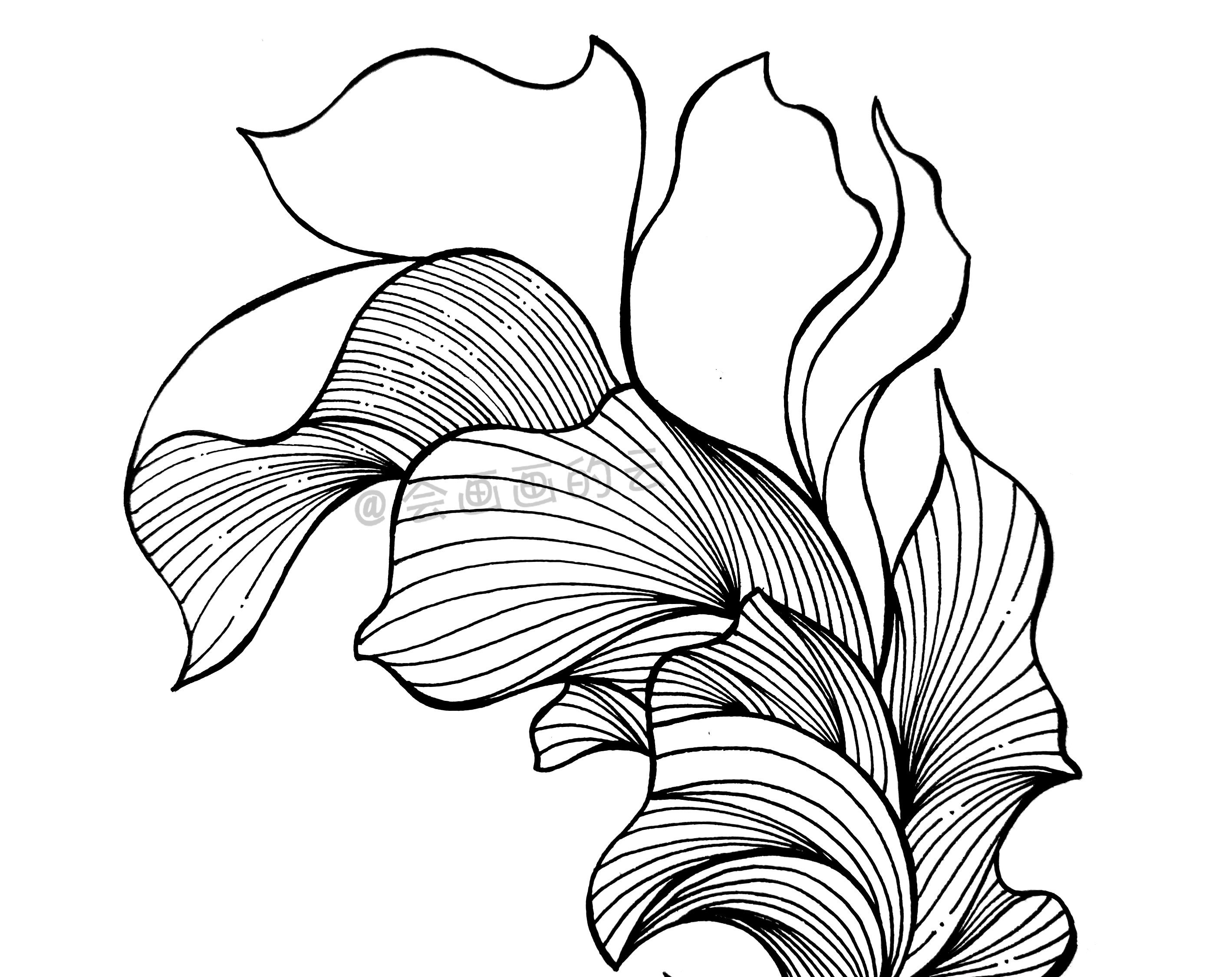 金鱼怎么画(金鱼怎么画得又漂亮)-我的快乐小窝