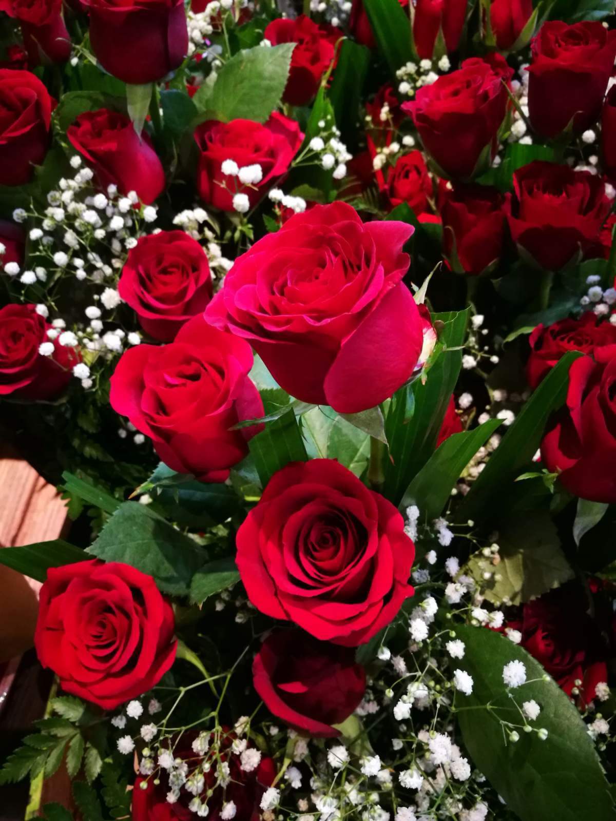 绣球花花语象征着美满团聚,能给许多人带来新的希望_达一风水网