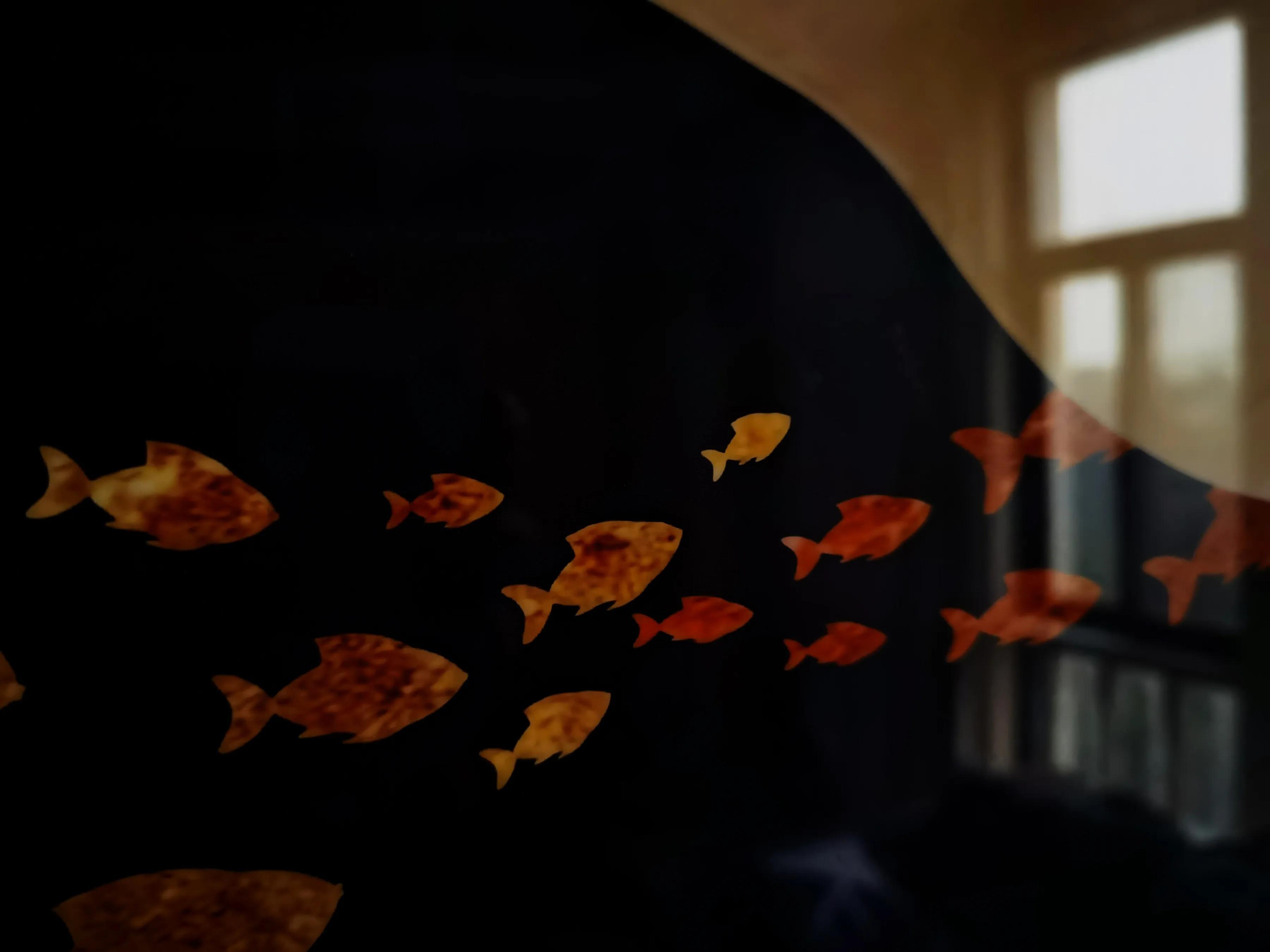 手拍世界（手机摄影平台）-群员作品集（总第733期）