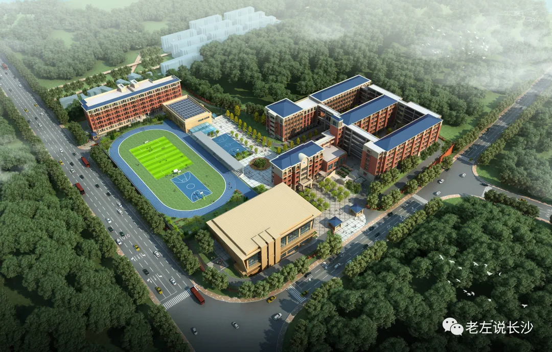 干货｜长郡家族谱系、办学模式、初中排名、配套入学楼盘