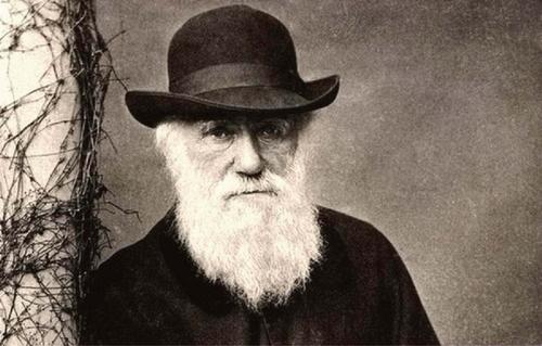 达尔文进化论是不是被推翻了