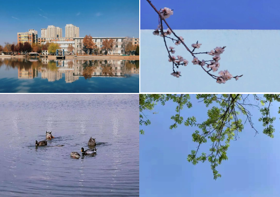 超心动！直击天津魅力高校，四季坐拥神仙颜值！网友：别人家的学校！